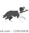 dog, dogs, puppy 139016838