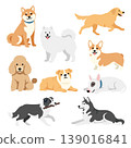 dog, dogs, puppy 139016841