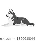 dog, dogs, puppy 139016844