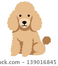 dog, dogs, puppy 139016845