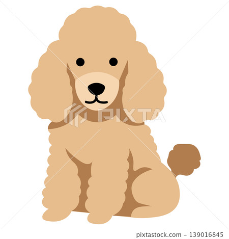 dog, dogs, puppy 139016845