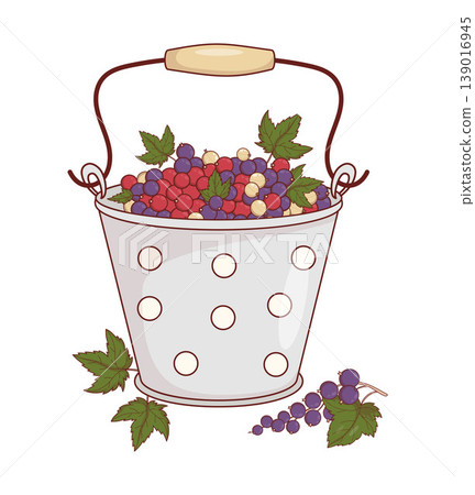 Vintage Metal Bucket Filled With Red, White And Black Currants. Sweet Summer Berry Mix Harvest In Enamel Pail Polka Dot. Vector Illustration . 139016945