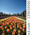 Spring Flower Festival in Botanical Garden 139016990