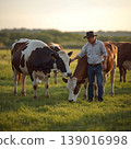 farmer feeding cows in open pasture 139016998