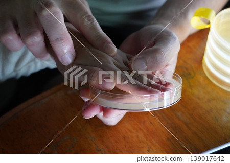 Petri dish Petri dish 139017642