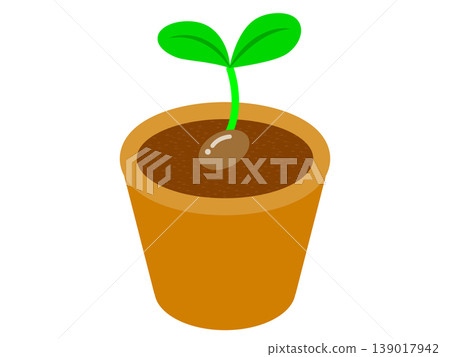 盆栽植物和其他植物的插圖 139017942