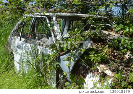 Abandoned vehicle covered in vegetation (abandoned vehicle, natural erosion, ruin image) Abandoned vehicle covered in vegetation (abandoned vehicle, natural erosion, ruin image) 139018179