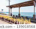 Shimada 139018568