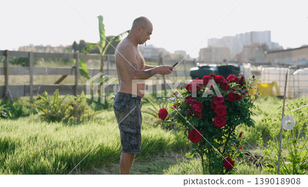 Man taking picture of red roses in urban garden Man taking picture of red roses in urban garden 139018908