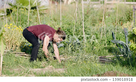 Man gardening in a community urban farm Man gardening in a community urban farm 139018918