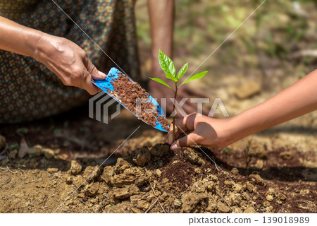 Hands of Family Planting a Tree: Environment and Growth Concept Hands of Family Planting a Tree: Environment and Growth Concept 139018989