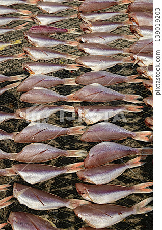Texture or background of Striped Red Mullet, sun-dried for one day on an outdoor net. 139019203