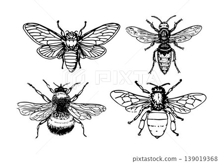 Whimsy in Flight - Bee Illustration Collection of Playful Poses. Bee illustration sets. 139019368
