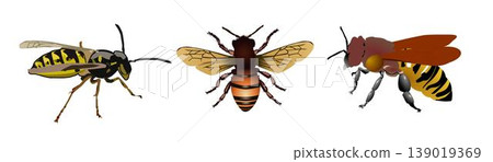 Bee Illustration Set - Three Charming Bees on a Clean Canvas. Bee illustration sets. Bee Illustration Set - Three Charming Bees on a Clean Canvas. Bee illustration sets. 139019369