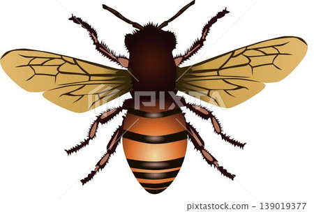 Bumble Boogie Bliss - Bee Illustration Dance of Pure Delight 139019377