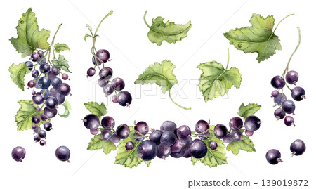 Black currant hand painted watercolor set clipart for scrapbooking. Botanical illustration with berries and leaves isolated background. Fresh summer nature elements for design greeting card, package. 139019872