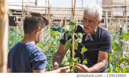 Elderly man examining organic green plants with grandchildren at garden Elderly man examining organic green plants with grandchildren at garden 139019904