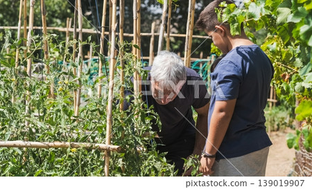 Grandfather planting wine plants with grandson at plant nursery Grandfather planting wine plants with grandson at plant nursery 139019907