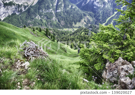Green valley leading to Canazei in the italian Dolomites, Italy Green valley leading to Canazei in the italian Dolomites, Italy 139020027