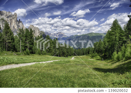 Landscape of the valley below the Rosengarten Group, Dolomites, Italy 139020032