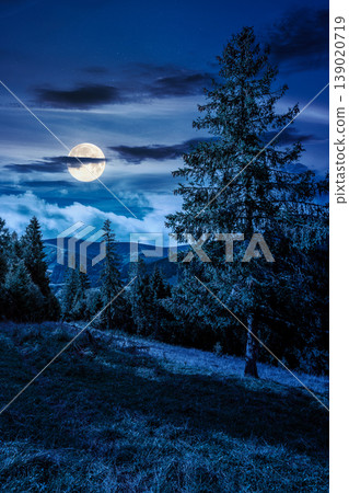 coniferous forest on the grassy slope at night. rolling mountain landscape in september in full moon light. mysterious cloudscape above the distant ridge. wanderlust through remote highlands coniferous forest on the grassy slope at night. rolling mountain landscape in september in full moon light. mysterious cloudscape above the distant ridge. wanderlust through remote highlands 139020719