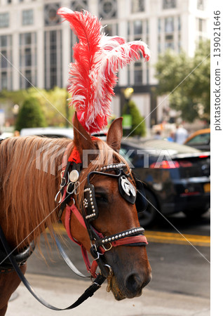 Charming Urban Depiction With Elaborately Adorned Horse And Vibrant City Life Atmosphere. New York Charming Urban Depiction With Elaborately Adorned Horse And Vibrant City Life Atmosphere. New York 139021646