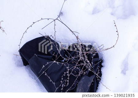 Pieces Of European Stickseed Stuck To A Bag Pieces Of European Stickseed Stuck To A Bag 139021935