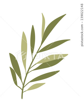 Olive Branch Botanical Silhouette Line Art 139022148