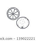 Hand drawn line art orange icon vector illustration. Doodle citrus fruit clipart 139022221