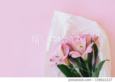 Beautiful pink Alstroemeria flowers on a pink background. Beautiful pink Alstroemeria flowers on a pink background. 139022227