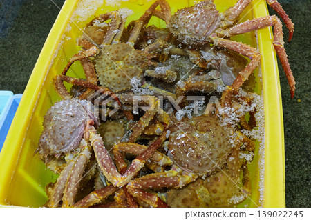 Market crab Market crab 139022245