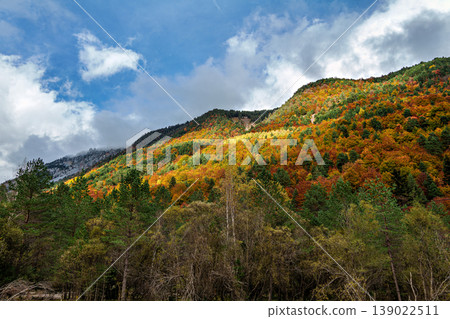 Driving through the beautiful Pineta Valley in the Ordesa and Monte Perdido National Park in Huesca, Spain 139022511