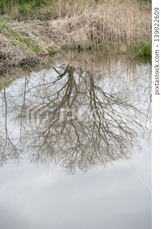 The spring trees and the scenery of the pond reflected on the water's surface. The spring trees and the scenery of the pond reflected on the water's surface. 139022609