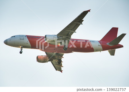 Close-up of a commercial jet aircraft in midair during final approach with landing gear deployed, isolated against a soft clear sky, ideal for aviation, travel, and transportation concepts. 139022737