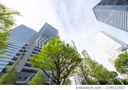 A view of an office district looking up at fresh greenery and skyscrapers A view of an office district looking up at fresh greenery and skyscrapers 139022983