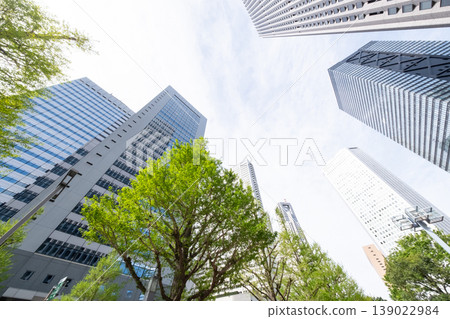 A view of an office district looking up at fresh greenery and skyscrapers A view of an office district looking up at fresh greenery and skyscrapers 139022984