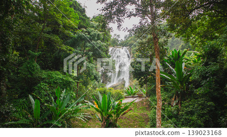 Majestic tropical waterfall flowing through lush green rainforest jungle. Scenic natural landscape with rich foliage and peaceful atmosphere, ideal for travel and nature themes. 139023168