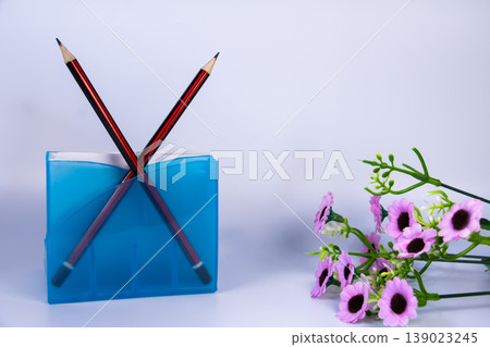 Two pencils in blue stationery holder with pink flowers isolated on white background. Minimal still life composition for education, study, school supplies and workspace concept. Two pencils in blue stationery holder with pink flowers isolated on white background. Minimal still life composition for education, study, school supplies and workspace concept. 139023245