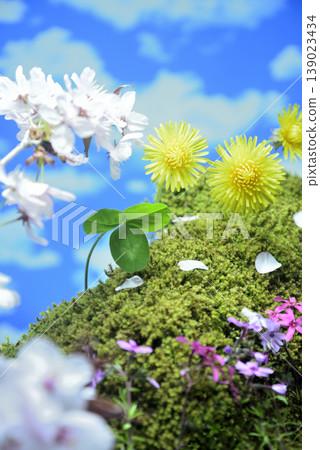春天的意象：櫻花、蒲公英、苔蘚福祿考、三葉草、苔蘚 139023434
