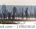 The shores of lake Nakuru 139023610
