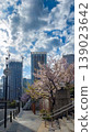 A pedestrian bridge and high-rise buildings along the Meguro River, where cherry blossoms are in bloom. 139023642