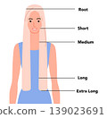 Flat color hair length guide with front view showing different hair lengths from short to extra long, modern minimal  139023691