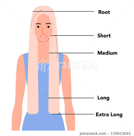 Flat color hair length guide with front view showing different hair lengths from short to extra long, modern minimal Flat color hair length guide with front view showing different hair lengths from short to extra long, modern minimal 139023691