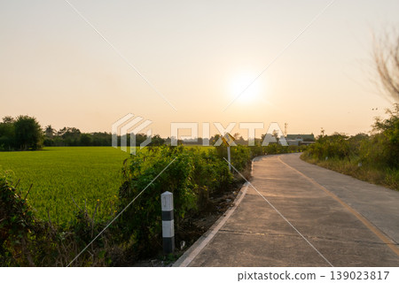 Quiet countryside road beside green rice fields under warm sunset sky peaceful rural landscape travel and nature background with soft light and calm atmosphere 139023817
