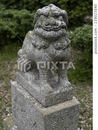 Guardian lion-dogs in the temple grounds Guardian lion-dogs in the temple grounds 139023840