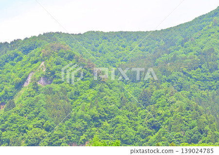 從越後湯澤站西出口附近，可以看到綠意盎然的山脈景色。 139024785