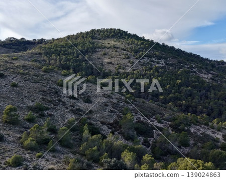 Forested Rocky Hillside, Mountainside Featuring Rocky Ground And Scattered Vegetation Below Clouds Forested Rocky Hillside, Mountainside Featuring Rocky Ground And Scattered Vegetation Below Clouds 139024863