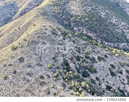 Dry Hillscape Exploration, Sunlit Slopes With Vegetation, Eroded Hillside Featuring Sparse Shrub Cover Dry Hillscape Exploration, Sunlit Slopes With Vegetation, Eroded Hillside Featuring Sparse Shrub Cover 139024888