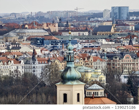 Patina Copper Dome Crowns City Skyline. Overcast Sky Highlights Architectural And Cultural Elements 139025186