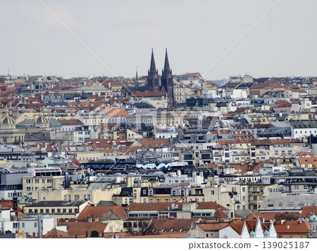 City View Showcasing Gothic Pinnacles Amid Textured Rooftops And Subdued Midday Illumination 139025187
